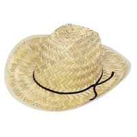 Hat Adult Cowboy