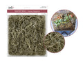 Moss Spanish Moss