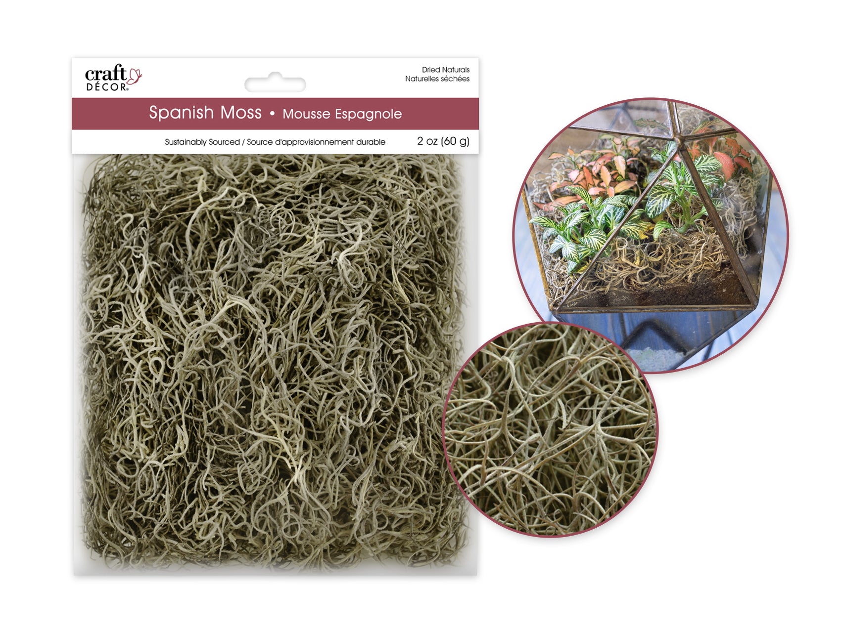 Moss Spanish Moss