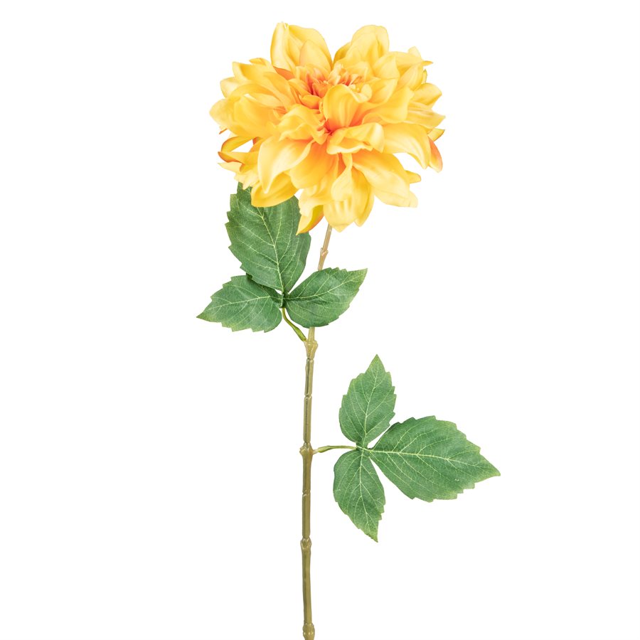 FLOWER DAHLIA YELLOW