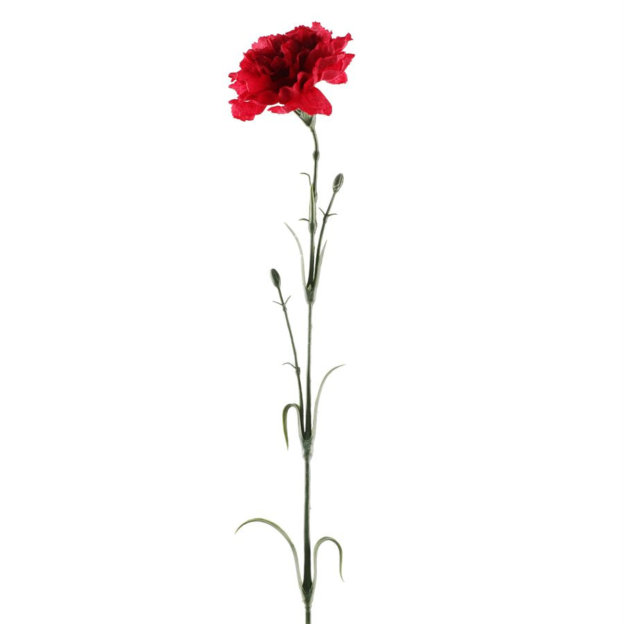 FLOWER 24IN CARNATION STEMX1 R