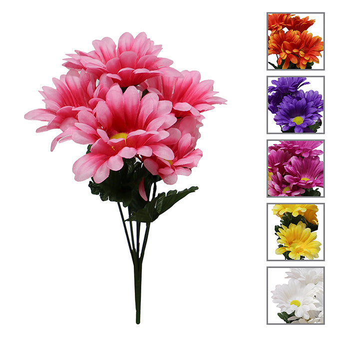 FLOWER GERBERA DAISY BUSH