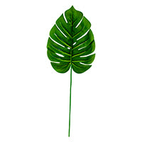 LEAF SPLIT PHILO