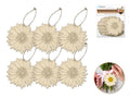 CRAFT WOOD SHAPE 6PC ASTRE MUM