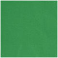 Napkin Lunch 40Pc/2Ply GREEN