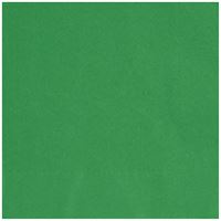 Napkin Lunch 40Pc/2Ply GREEN