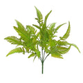 LEAVES FERN BUSH GREEN