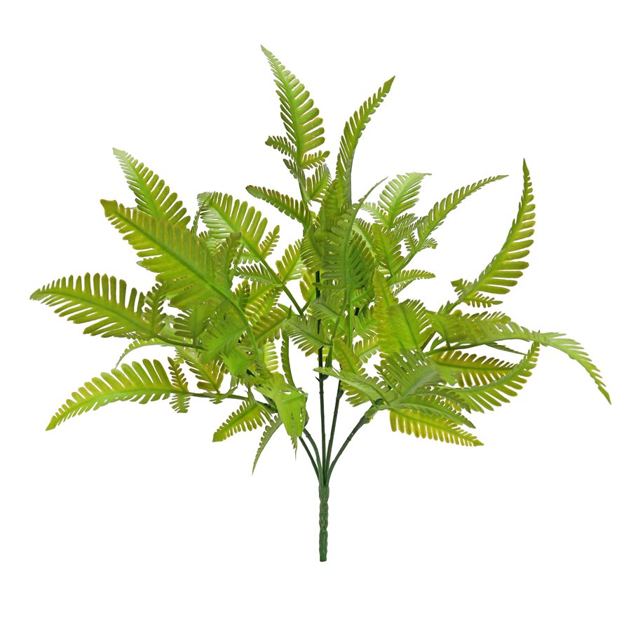 LEAVES FERN BUSH GREEN