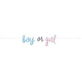 BANNER GENDER REVIEW