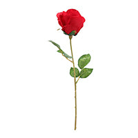 FLOWER STAIN ROSE RED