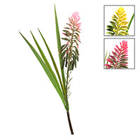 FLOWER BUSH