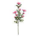 FLOWER ROSE SWEETHEART PINK