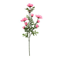 FLOWER ROSE SWEETHEART PINK