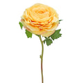 RANUNCULUS STEM X1, YELL, 54CM