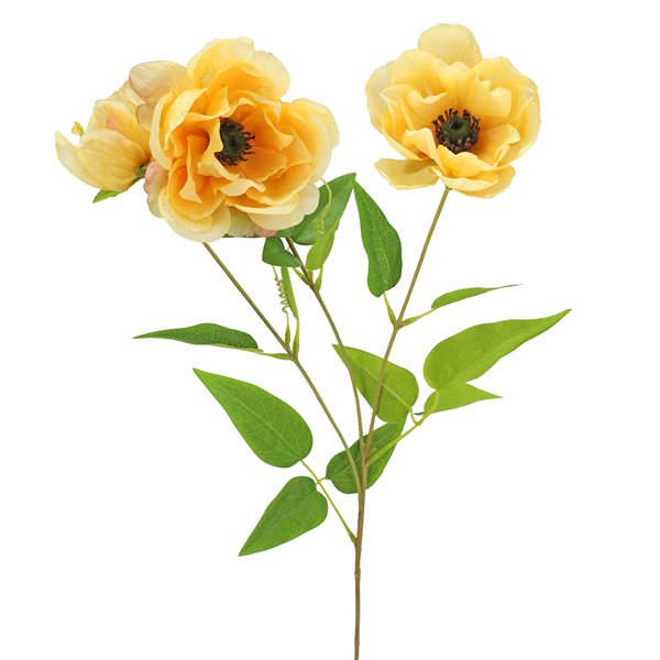 FLOWERANEMONE SPRAY X3, YELLOW