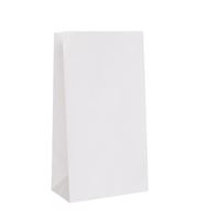 BAG PAPER 12PK WHITE