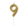 CANDLE BDAY NUMBER 9