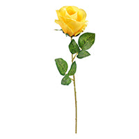 FLOWER STAIN ROSE YELLOW