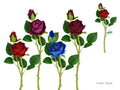 FLOWER ROSE W/BUD