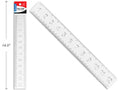 RULER 12IN PLASTIC