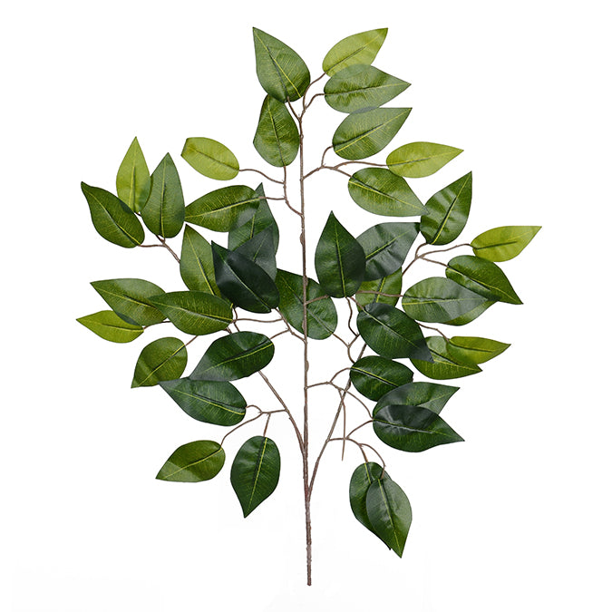 LEAVES FICUS SPRAY