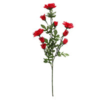 FLOWER ROSE SWEETHEART RED