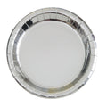 PLATE PAPER 9IX8 FOIL SILVER