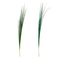 GRASS SPRAY 37IN