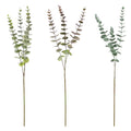LEAVES EUCALPTUS 30IN
