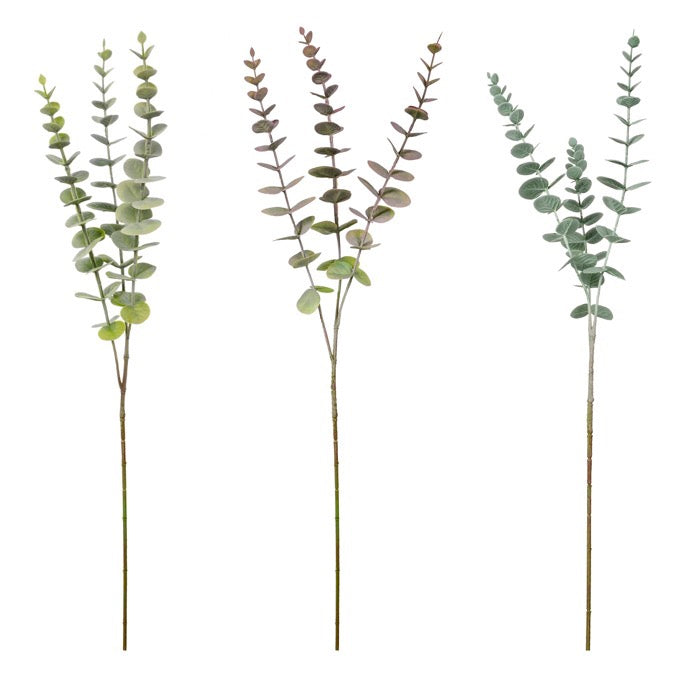LEAVES EUCALPTUS 30IN