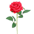 FLOWER ROSE FUCHSIA