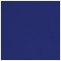 NAPKIN LUNCH 40PC TRUE NAVY