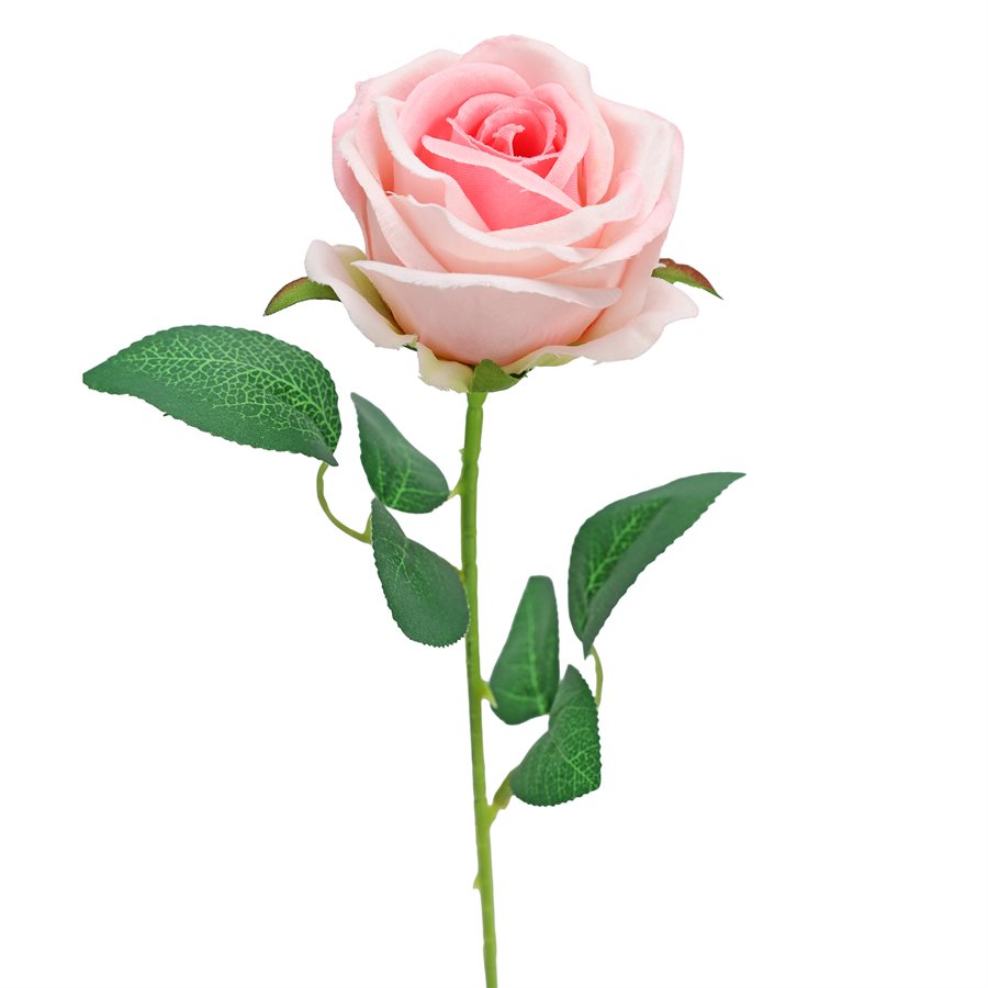 FLOWER ROSE PINK
