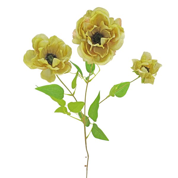 FLOWER ANEMONE SPRAY X3 GREEN