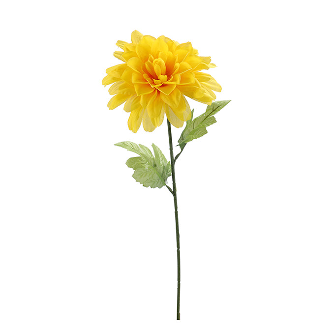 FLOWER DAHLIA YELLW