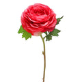FLOWER RANUNCULUS STEM FUCHSIA