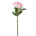 FLOWER VELOUR PEONY PINK