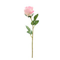 FLOWER STAIN ROSE PINK