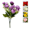 FLOWR CABBAGE ROSE BUSH