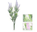 FLOWER BUSH LAVENDER