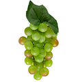 GRAPE 6IN CLUSTER X36 GREEN