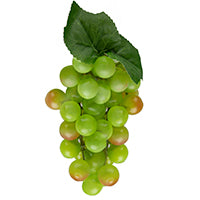 GRAPE 6IN CLUSTER X36 GREEN